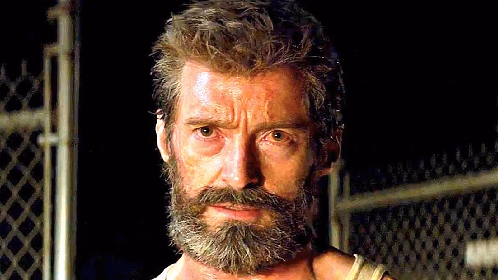 three-bags-full-delayed-to-november-2026-hugh-jackmans-sheep-detective-comedy-gets-family-friendly-slot-image-0